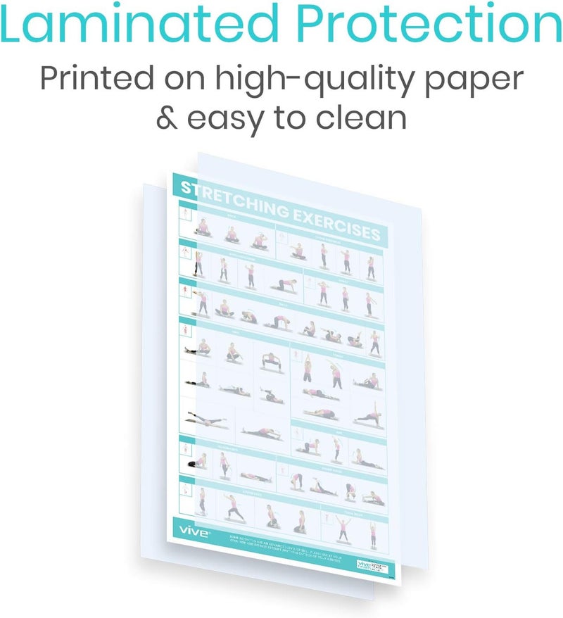 VIVE Workout Posters for Home Gym - 52 Streching Exercises Full Body Workout - Laminated Pre Post Routines Wall Chart - Bodyweight Poses Instruction Guide for Core, Abs, Legs, Glutes, Upper Body - Image 5